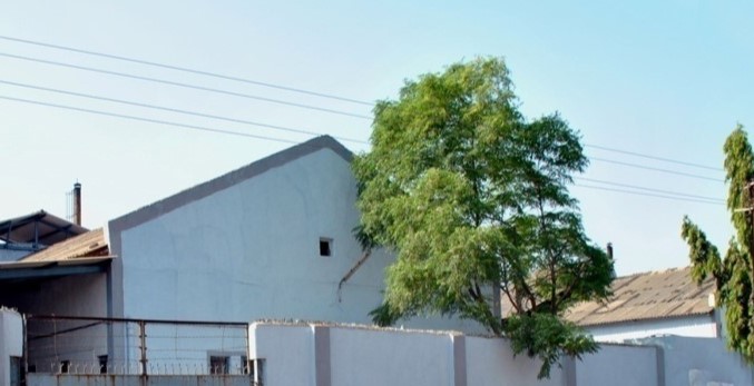 Office Building